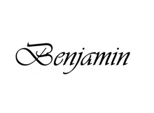 Load image into Gallery viewer, Benjamin Airgun Air Rifle Gun Pistol Owners Manuals Firearms Weapons Complete Set

